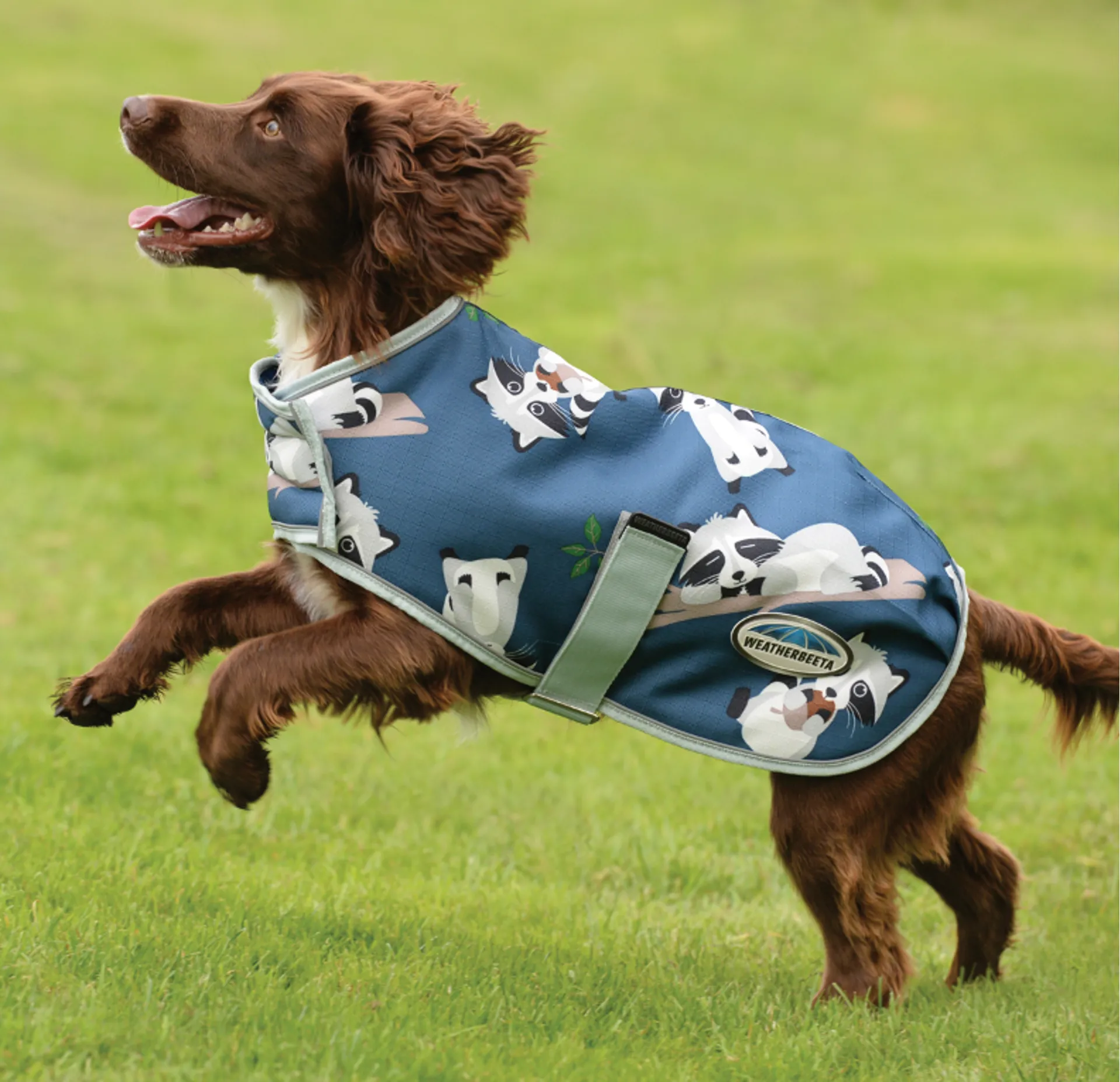Racoon parka on sale